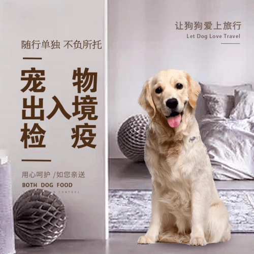 淮北市宠物托运到哥伦比亚猫狗宠物入境规定和