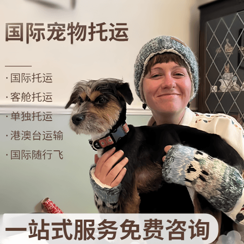 淮北市国际宠物托运到阿根廷宠物入境规定和要