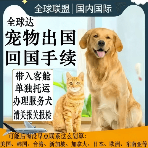 淮北市宠物托运到柬埔寨宠物入境规定和要求