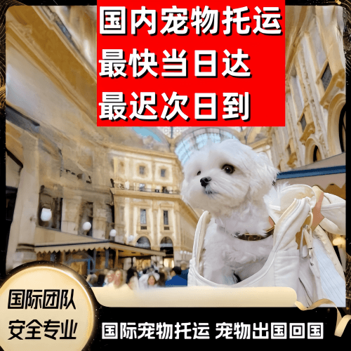 淮北市到澳大利亚（澳洲）宠物入境规定和要求