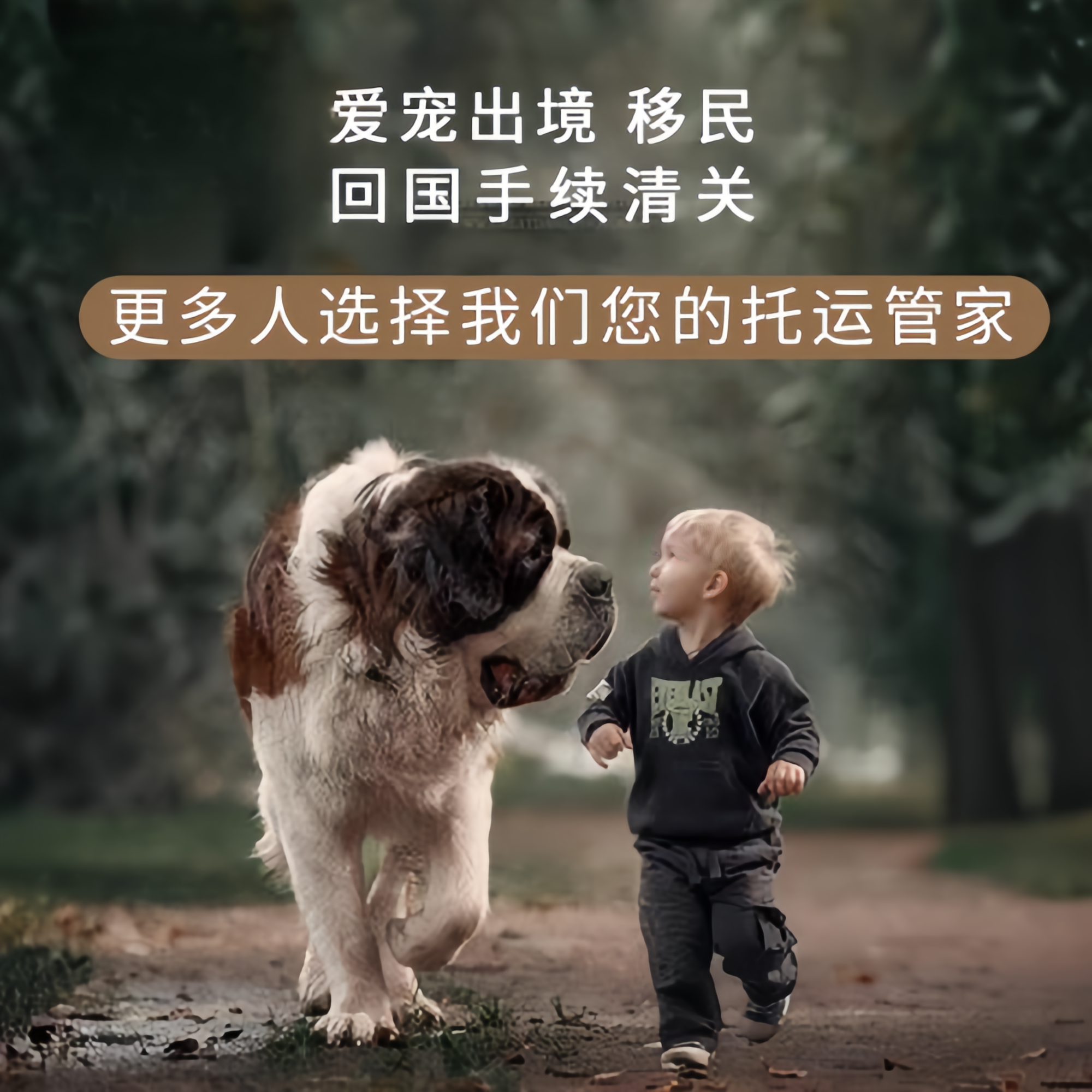 满财淮北市宠物全球达宠物托运在遵守入境目的地政策的条件