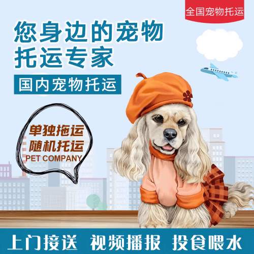 满财淮北市宠物全球达宠物托运作为专业的宠物运输代理机构